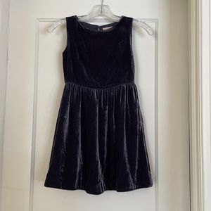 Crewcuts Navy Velvet Dress